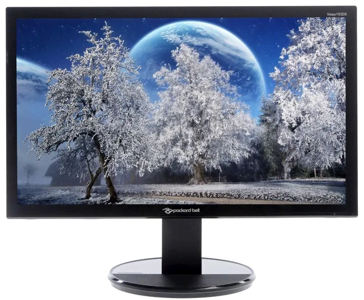 Монитор 19" Packard Bell Viseo 193DX б/у