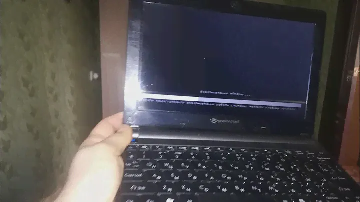 БЫСТРЫЙ ОБЗОР НЕТБУКА PACKARD BELL DOT ZE-7 за 4000 ₽