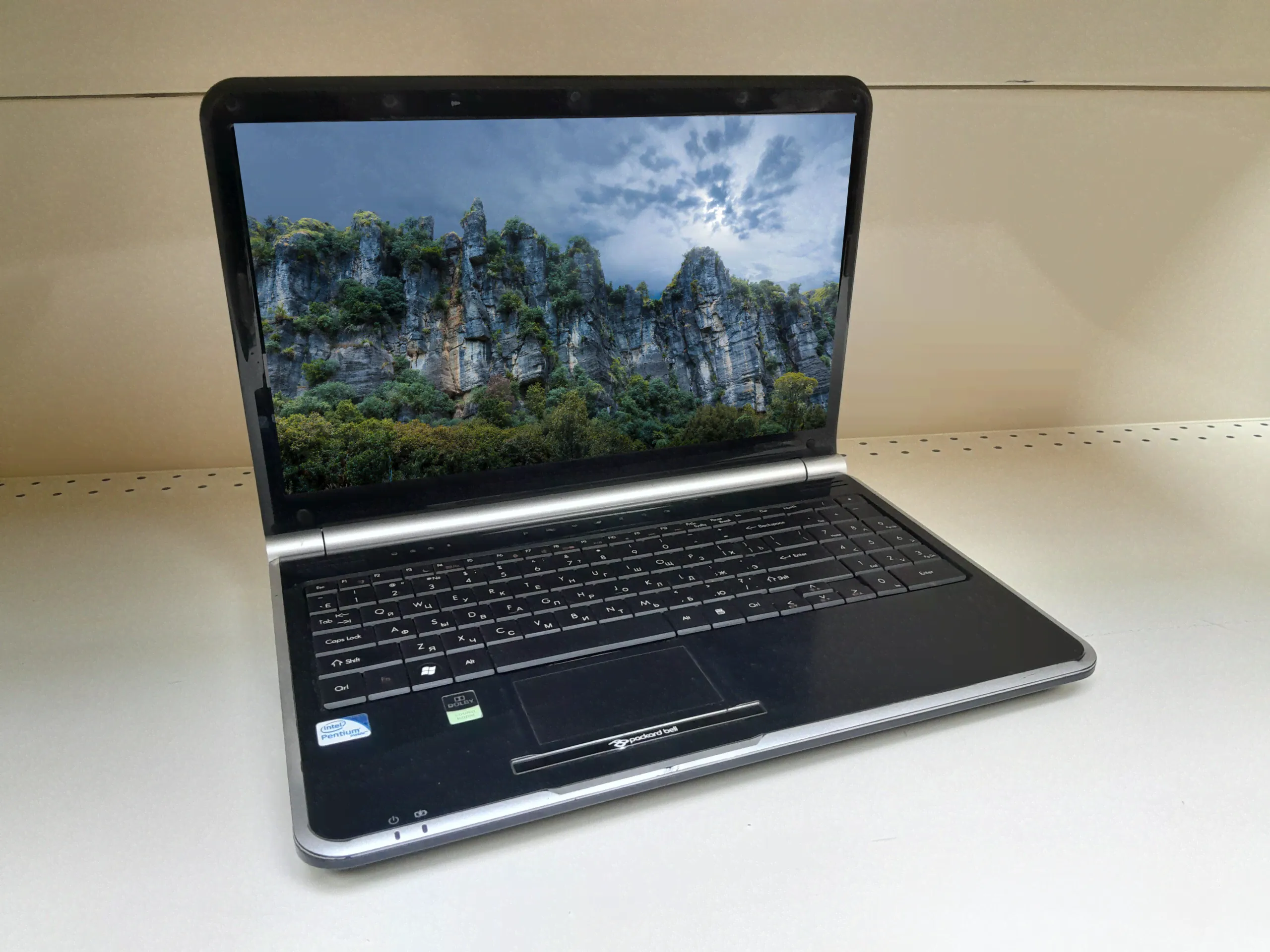 Packard Bell TJ65-AU-500RU (нет в продаже)
